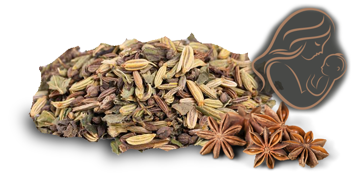 Tisane de l’allaitement Bio